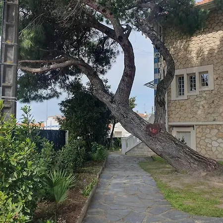 - La Cigale - 7 / 16 Couchages Villa *