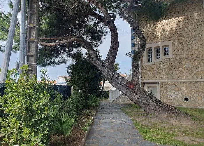 - La Cigale - 7 / 16 Couchages 别墅 *